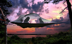 bluepueblo:  Tree Camping, California photo via spirits 