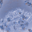 moonstarrdreams