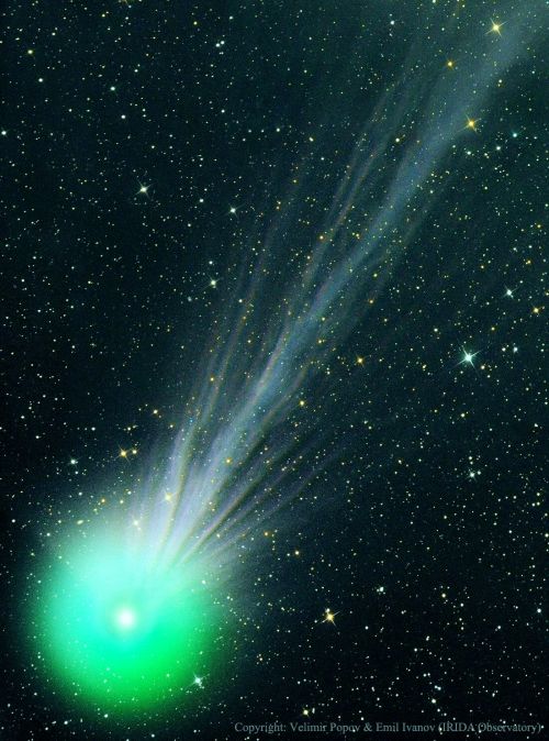 Comet C/2014 Q2 (Lovejoy)
