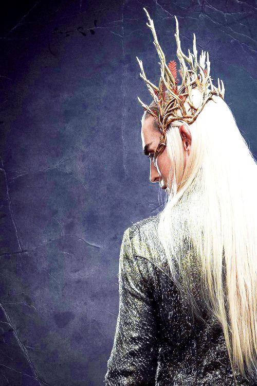thranduilings:  I’m speechless  