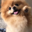 fluffykawaiidemon