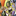 mala-sadas:Senior dexholders (Kanto-Hoenn): Having a Pokédex is a big honor and