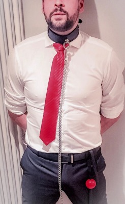 rennegade15:  in shirt & tie - collared