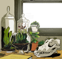 tohdaryl:Terrariums