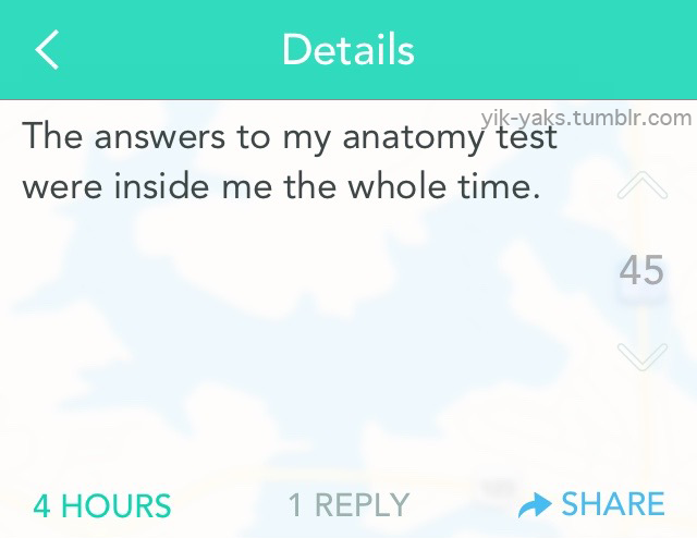yik-yaks:  Follow Yik-Yaks for more. 