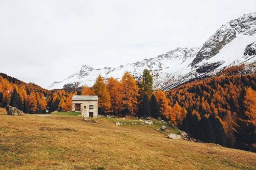 melodyandviolence:  by   nicolehunziker   