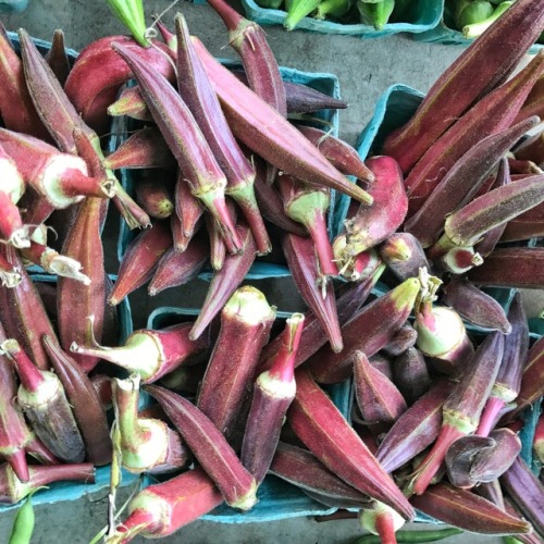 Red Okra, Oak Marr Farmers Market, Fairfax, 2017.As a child in the Pacific Northwest, I somehow knew