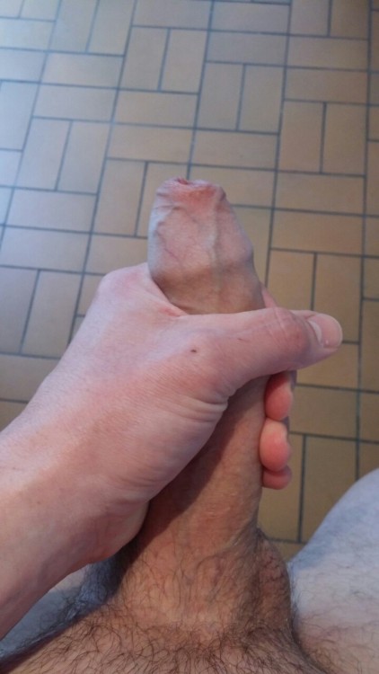 langdk: Semi and fully erect