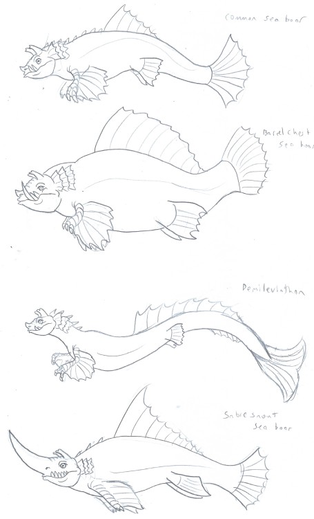 tyrantisterror:Sea Boars Monstrous fish that swim the wide open oceans surrounding Midgaheim, sea bo