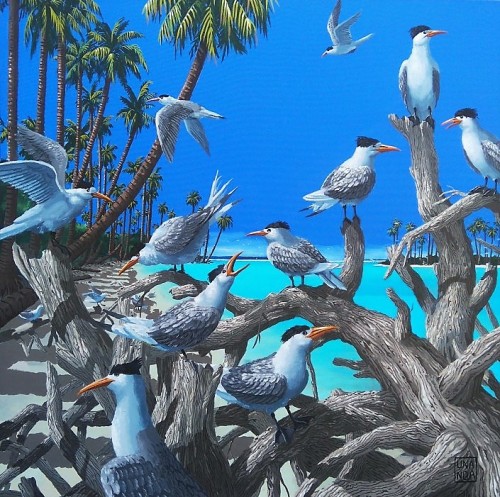 Una Noa (b.1964) - Crested Terns. Oil on canvas.