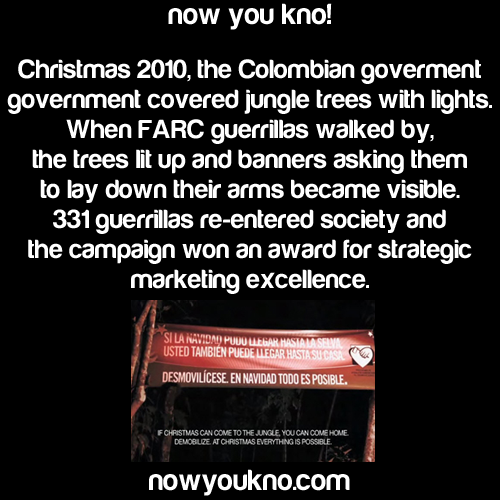nowyoukno:  10 Christmas Facts Click Here for more!