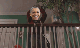 megbiediger:  stone-monkey:  megbiediger:  I hope Obama booby traps the heck out of the Oval Office  Home Alone: White House Havoc   