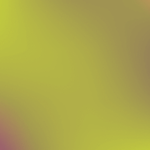Https Encrypted Tbn0 Gstatic Com Images Q Tbn And9gcq51o0vxp1zji0l 20dcggd0uscxm3hp578dq Usqp Cau
