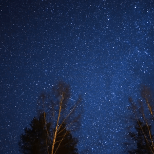 Sheep, Goats, And Stars Stimboard