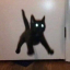 petrifiedcat04