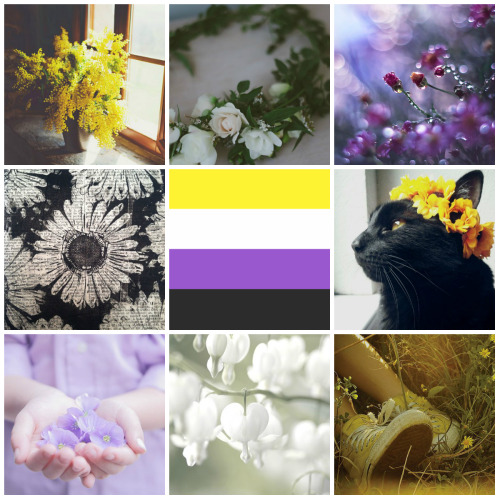 queerlobby: Nonbinary moodboard for anon