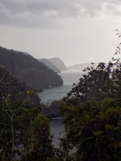 Chaguaramas, Bamboo Cathedral, first look out point. Trinidad. Copyright 2017 Troy De Chi. All right