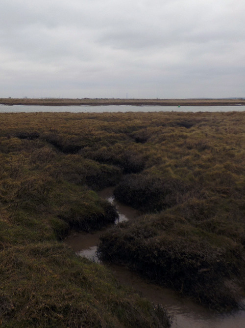 Oare Marshes