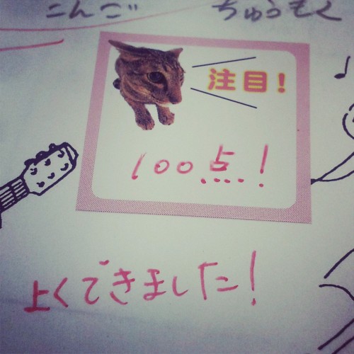 Les profs s'en donnent a coeur joie quand ils savent que j'aime les chats XD (j'ai fait un sans faut