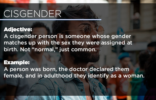 thepsychoemoreport:  utopiacontent:  Everything you wanted to know about transgender