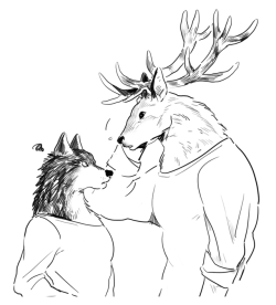 im-area: DEER x WOLF