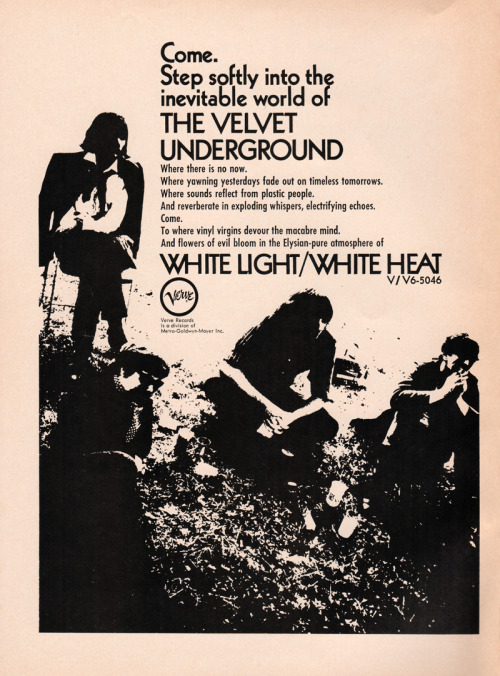 velvet underground