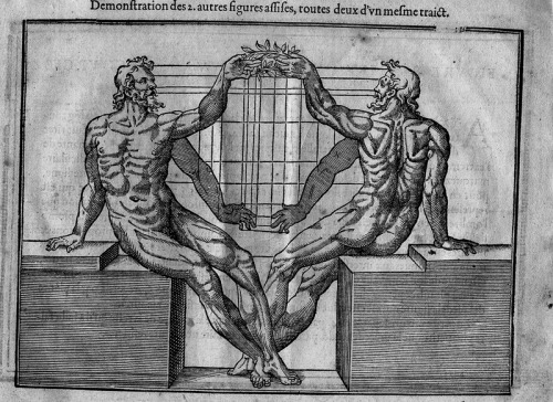 chaosophia218:Jehan Cousin - Proportions of the Human Body, “Livre de Pourtraiture”, 1608.