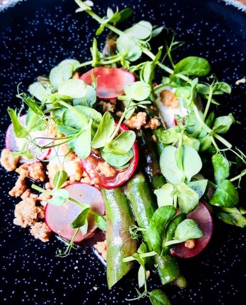 Asparagus starter looking pretty dishy (at 28-50 Wine Workshop & Kitchen - Mayfair)