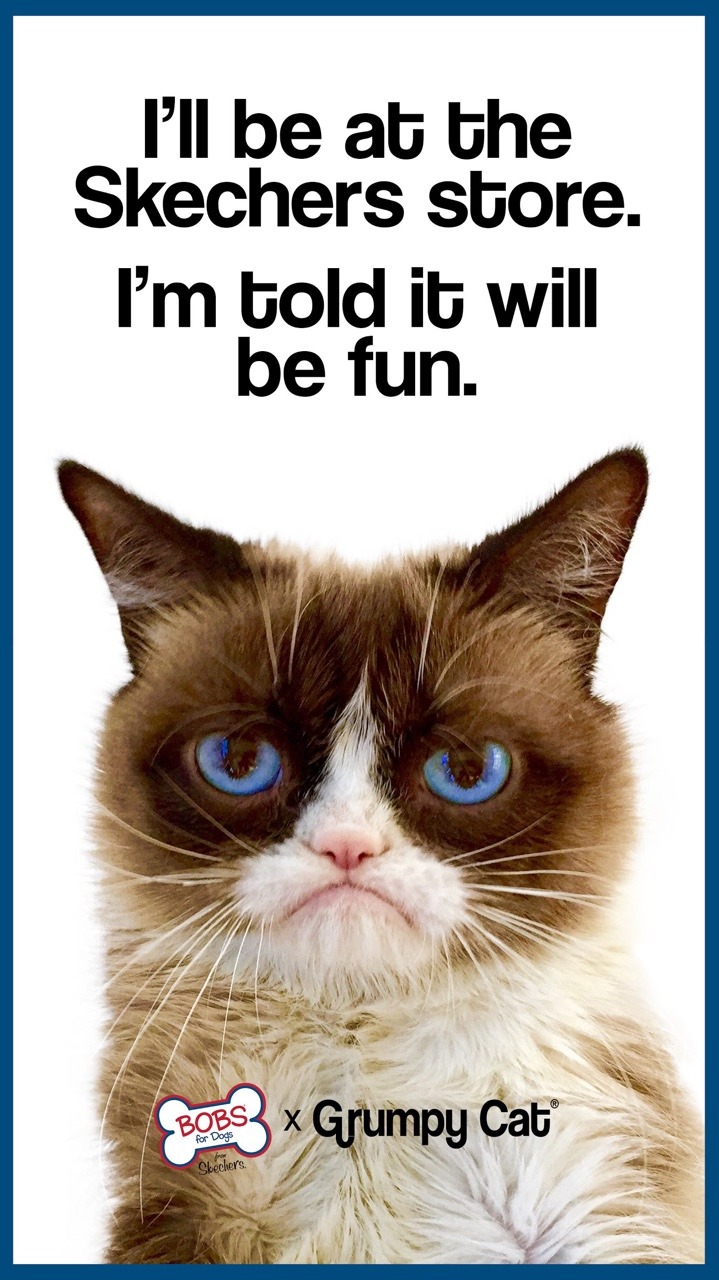 This Friday December 14th in Santa Monica, CA - Meet Grumpy Cat at the @skechersusa Store! 2-4pm
https://bit.ly/2CeqM04
BOBS...