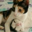 weepea-blog