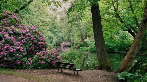 meolog: nature’s mirror (shot on Fuji Pro 400h) instagram