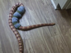 violet-words:  I think we need to address the fact that I can’t stop crocheting little snake sweaters 