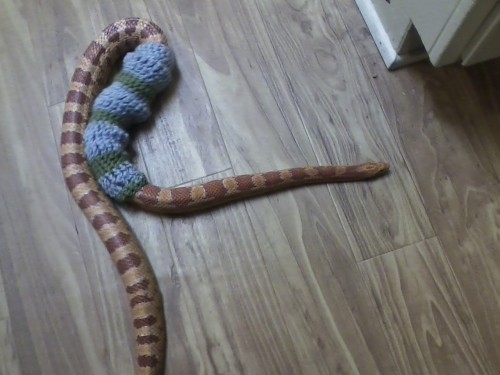 ratkingxvx:violet-words:I think we need to address the fact that I can’t stop crocheting little snak