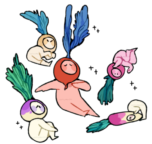 this is tom radish, he’s rad but not too rad