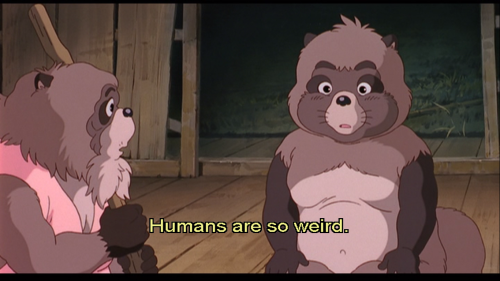 pom poko