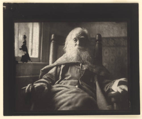 Wait—Whit—What?Read this article and watch a writer spin connections between Walt Whitman, Dic