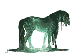 themonsterblogofmonsters:  Kelpie A dangerous type of Water Horse most common in the Highlands of Scotland, Kelpies are considered by some to be Animal Fae, and by others, Demons. Known to feed on people that they lure onto their backs, Kelpies can alter