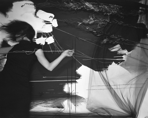 artemisdreaming:   Lauren Semivan      