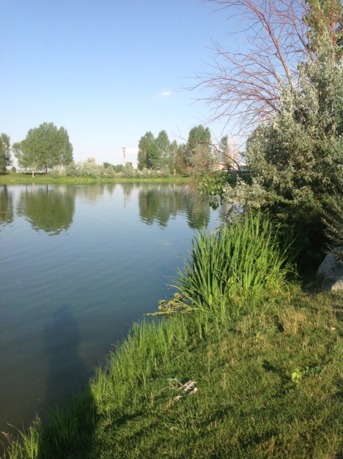 This is the pond by my house! But it’s exclusive to Weld County!