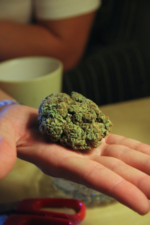Into A Stoner's Mind!