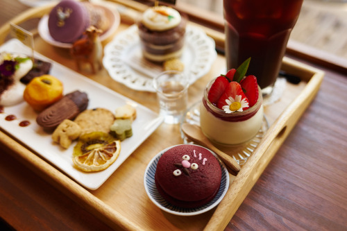 in Dessert Cafe