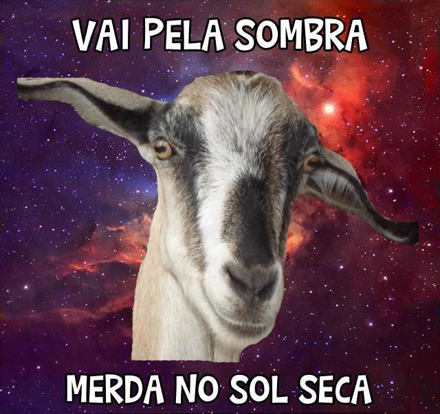 HUMORCEGO
