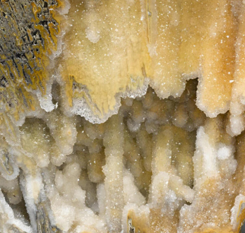 Coral Fossils coated with Drusy Quartz - Eocene, 40 Million Years - Withlacoochee River, Florida