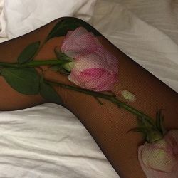 honeythe-elfqueen.tumblr.com post 161606212064