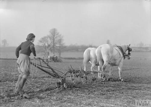 Women&rsquo;s Land Army training at the WLA training centre at Cannington Farm, Somerset (England, c