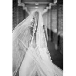 coldrevelry:  A sneak peak from yesterday’s #wedding #sneakpeak #losangeles #bride #veil #la #weddingphotographer #losangelesphotographer #dennisroycoronel #photographer #love #luminous #bridal #weddinghdress