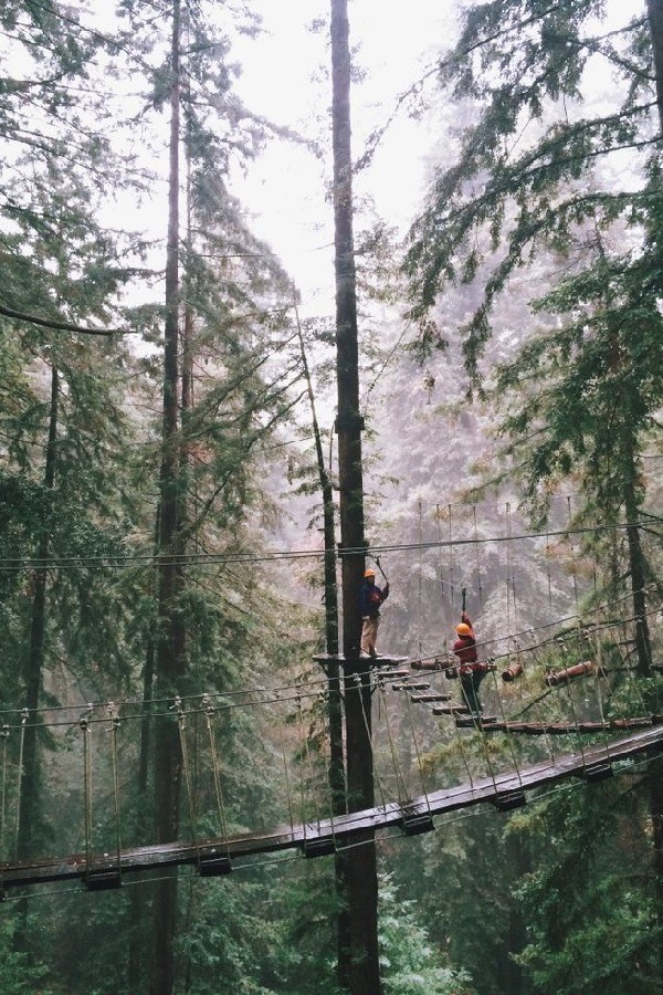 wolverxne:  Couple on a zipline - by: { lryu }
