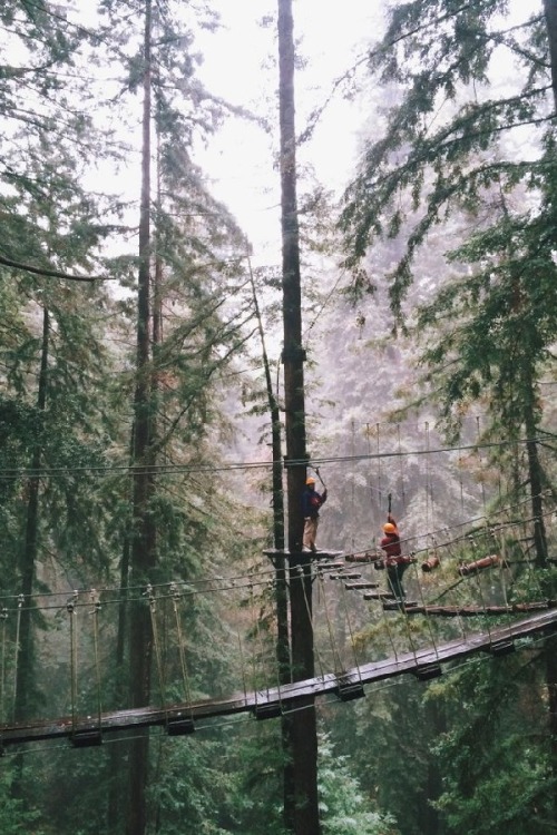 Porn wolverxne:  Couple on a zipline - by: { lryu photos