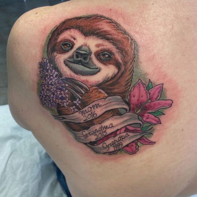 Meghan Milloy on Twitter This ad for a sloth tattoo artist in Berlin was  on my instagram today so cc senatorshoshana in case youre interested  httpstcoVZgU7n6VXz  Twitter