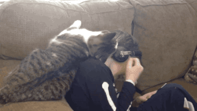 thelolgifs:  LOVE ME! 